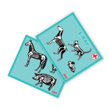 Load image into Gallery viewer, Schylling Veterinarian Kit