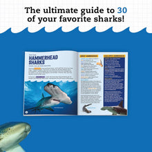 Load image into Gallery viewer, Klutz Steam Lab - Shark-Tastic Teeth: The Ultimate Collection of Jaw-some Activities