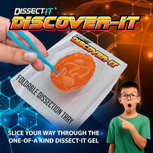 Load image into Gallery viewer, Dissect-It Discover-It Synthetic Owl Pellet Lab