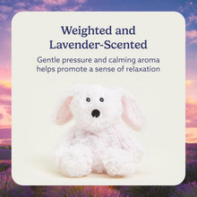 Load image into Gallery viewer, Warmies Microwavable &amp; Weighted Plush - Bunny, Small