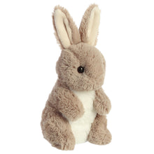 Load image into Gallery viewer, Aurora 7" Biddy Bunny Taupe Plush