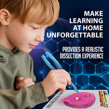 Load image into Gallery viewer, Dissect-It Discover-It Synthetic Pearl Shucking Lab