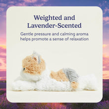 Load image into Gallery viewer, Warmies Microwavable &amp; Weighted Plush - Calico Cat, Small