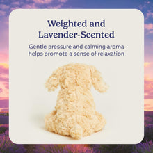 Load image into Gallery viewer, Warmies Microwavable &amp; Weighted Plush - Golden Dog, Small