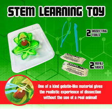 Load image into Gallery viewer, Top Secret Toys - Dissect It: A Synthetic Frog Dissection Kit, LARGE