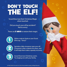 Load image into Gallery viewer, The Elf on the Shelf - Scout Elf Boy Light &amp; An Elf's Story DVD