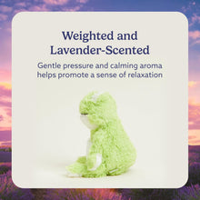 Load image into Gallery viewer, Warmies Microwavable &amp; Weighted Plush - Frog, Large