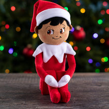 Load image into Gallery viewer, The Elf on the Shelf - Plushee Pals: New Boy, Dark - 17"