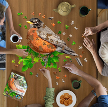 Load image into Gallery viewer, I AM ROBIN 300 PUZZLE