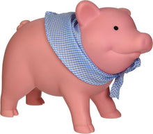 Load image into Gallery viewer, Schylling Rubber Piggy Bank