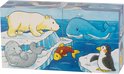 Load image into Gallery viewer, Safari and Artic , cube puzzle