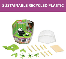 Load image into Gallery viewer, PlayMonster - Wild Scenes: Pandas' Bamboo Forest Grow &amp; Play Kit