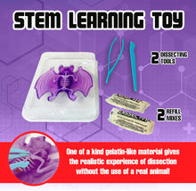Load image into Gallery viewer, Top Secret Toys - Dissect It: A Synthetic Bat Dissection Kit, LARGE