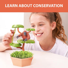 Load image into Gallery viewer, PlayMonster - Wild Scenes: Orangutans’ Treetop Adventure Grow &amp; Play Kit