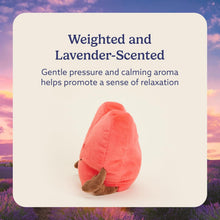 Load image into Gallery viewer, Warmies Microwavable &amp; Weighted Plush - Heart, Large