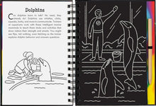 Load image into Gallery viewer, Scratch and Sketch - At the Aquarium: An Art Activity Book