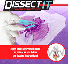 Load image into Gallery viewer, Top Secret Toys - Dissect It: A Synthetic Bat Dissection Kit, LARGE