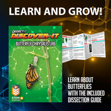 Load image into Gallery viewer, Dissect-It Mini Butterfly Chrysalis Lab