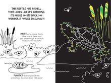 Load image into Gallery viewer, Scratch and Sketch - Dot-to-Dot Animals: An Art Activity Book