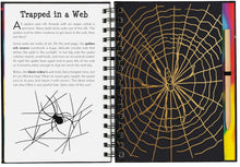 Load image into Gallery viewer, Scratch and Sketch - Bugs: An Art Activity Book