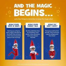 Load image into Gallery viewer, The Elf on the Shelf - Scout Elf Boy Light &amp; An Elf's Story DVD