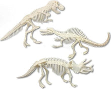 Load image into Gallery viewer, Dissect-It Discover-It Dinosaur Dig: Uncover A Complete Skeleton