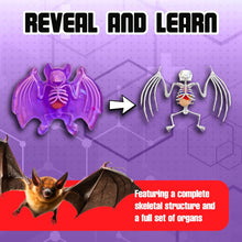Load image into Gallery viewer, Top Secret Toys - Dissect It: A Synthetic Bat Dissection Kit, LARGE