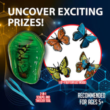 Load image into Gallery viewer, Dissect-It Mini Butterfly Chrysalis Lab
