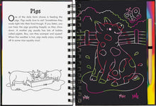 Load image into Gallery viewer, Scratch and Sketch - On The Farm