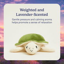 Load image into Gallery viewer, Warmies Microwavable &amp; Weighted Plush Snuggle Set - Turtles, Large &amp; Small
