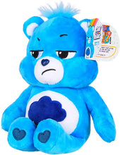 Load image into Gallery viewer, Schylling Care Bear Bean Plush - Grumpy Bear, 9"