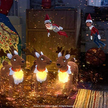 Load image into Gallery viewer, Elf Pets: Santa's Reindeer Rescue