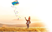 Load image into Gallery viewer, Small Pocket Kite