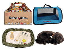 Load image into Gallery viewer, Perfect Petzzz Plush Black Lab Breathing Puppy Dog with Blue Tote For Plush Breathing Pet