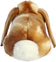 Load image into Gallery viewer, Aurora - Miyoni - 9" Holland Lop Rabbit - Tan