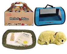 Load image into Gallery viewer, Perfect Petzzz Golden Retriever Plush with Blue Tote For Plush Breathing Pet