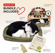 Load image into Gallery viewer, Perfect Petzzz Black and White Shorthair Kitten, Realistic, Lifelike Stuffed Interactive Pet Cat Toy