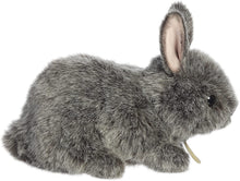 Load image into Gallery viewer, Aurora - Miyoni Tots - 7.5" Netherland Dwarf Bunny - Blue Grey
