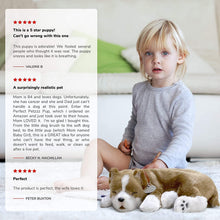 Load image into Gallery viewer, Perfect Petzzz Original Petzzz Pit Bull Realistic, Lifelike Stuffed Interactive Pet Toy, Companion Pet Dog with 100% Handcrafted Synthetic Fur
