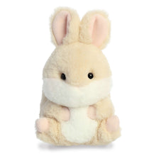 Load image into Gallery viewer, Aurora Rolly Pets Farm Set of 4 Plushies: Bray Donkey, Chickadee Chick, Prankster Pig and Bunbun Bunny, with Myriads Drawstring Bag