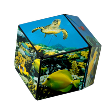 Load image into Gallery viewer, Shashibo Magnetic Puzzle Cube, Under Sea
