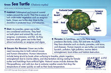 Load image into Gallery viewer, Marine Life Rescue Project Sea Turtle in Rescue Stretcher Plush