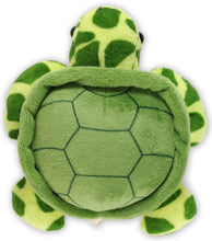 Load image into Gallery viewer, Hug A Sea Turtle Kit