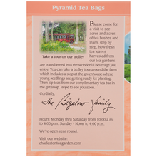 Load image into Gallery viewer, Charleston Tea Garden Peachy Peach Pyramid Teabags 12 Count