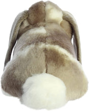 Load image into Gallery viewer, Aurora - Miyoni - 9" Holland Lop Rabbit - Grey