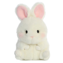Load image into Gallery viewer, Aurora Bundle of 2 5" Beanbag Stuffed Animals: Lively Bunny &amp; Bunbun Bunny