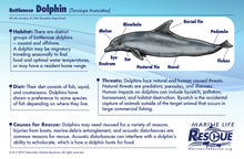 Load image into Gallery viewer, Marine Life Rescue Project Dolphin in Rescue Stretcher Plush