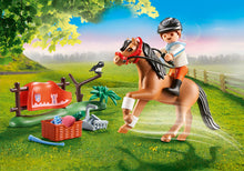 Load image into Gallery viewer, PLAYMOBIL Country Collectible Connemara Pony