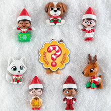 Load image into Gallery viewer, The Elf on the Shelf Merry Minis - Series 2