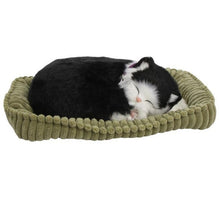 Load image into Gallery viewer, Perfect Petzzz Black and White Shorthair Kitten Plush with Pink Tote For Plush Breathing Pet